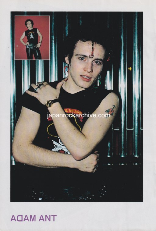 Adam Ant 1981/08 Japanese music press cutting clipping - photo