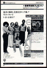 The Little Feat Collection