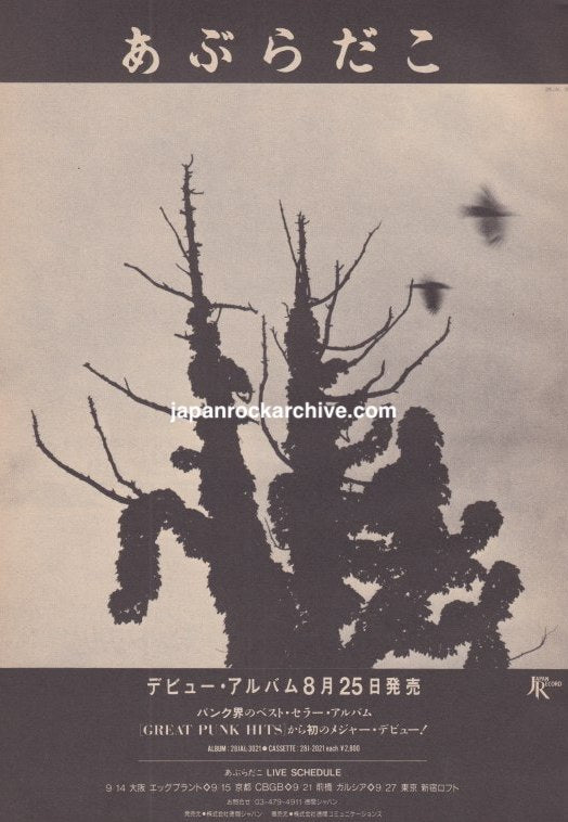 Aburadako October 1985 Japanese debut album magazine promo ad featuring tree artwork
