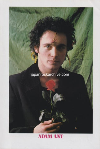 Adam Ant 1981/07 Japanese music press cutting clipping - photo pinup - with rose