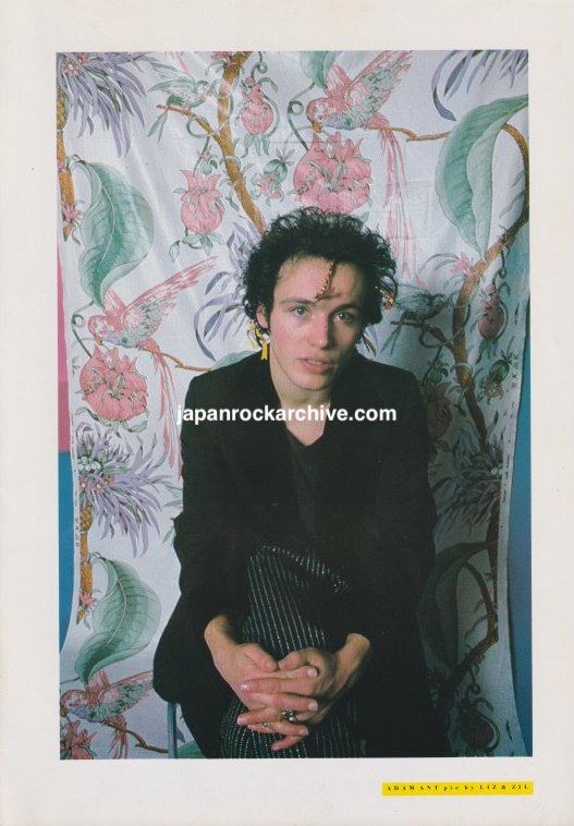 Adam Ant 1981/07 Japanese music press cutting clipping - photo pinup poster