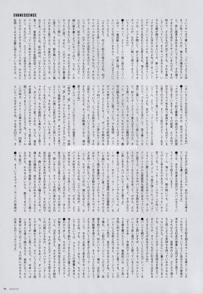 Evanescence 2006/11 Japanese music press cutting clipping - article