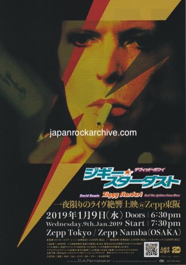 Janis 2019 Japan movie flyer / handbill