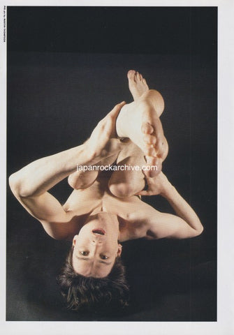 Pig 1993/11 Japanese music press cutting clipping - photo pinup - floating in space
