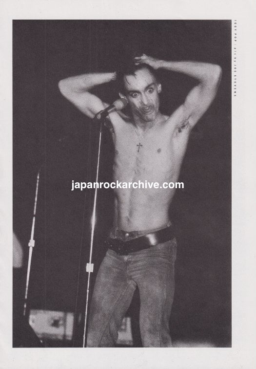 Iggy Pop 1980/10 Japanese music press clipping - pinup