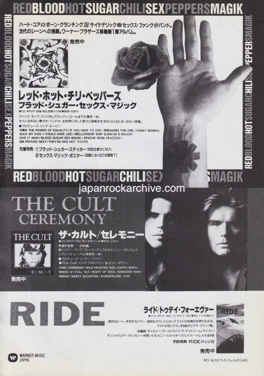 The Red Hot Chili Peppers Collection – Japan Rock Archive