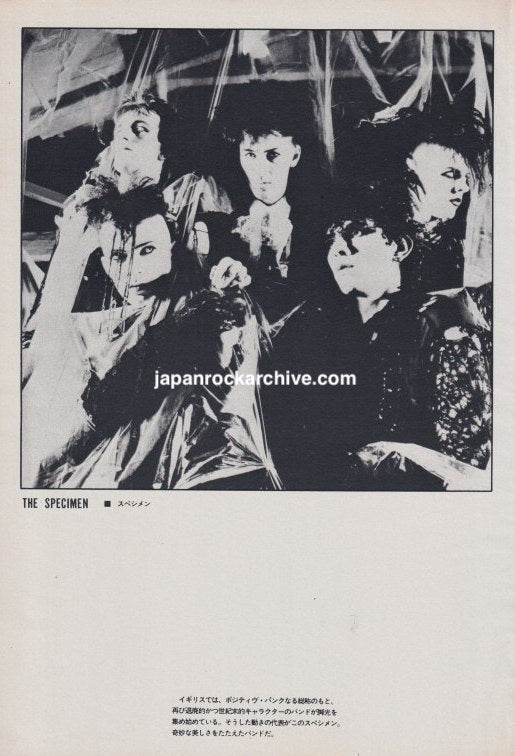 Specimen 1983/10 Japanese music press cutting clipping - photo pinup poster