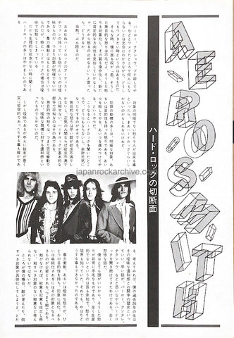 Aerosmith 1977/11 Japanese music press cutting clipping - article