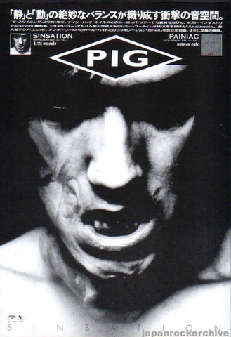 Pig 1995/05 Sinsation Japan album promo ad