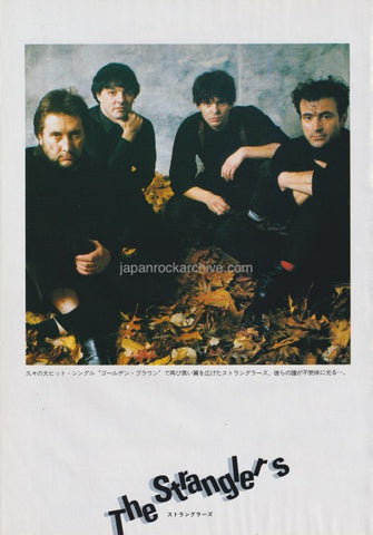 the stranglers sitting on autumn leaves