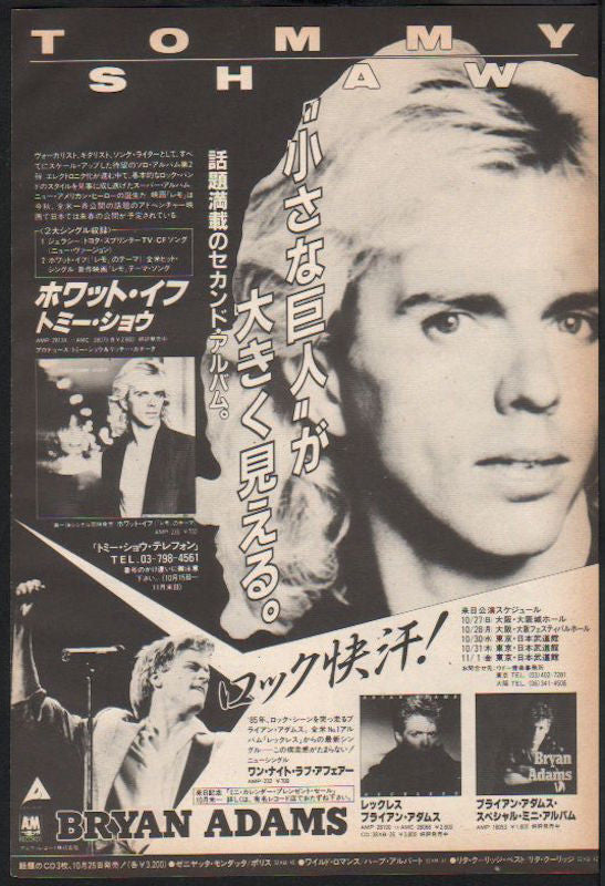 Tommy Shaw 1985/12 What If Japan album promo ad