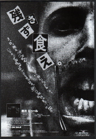 Tool 1993/07 Undertow Japan album promo ad